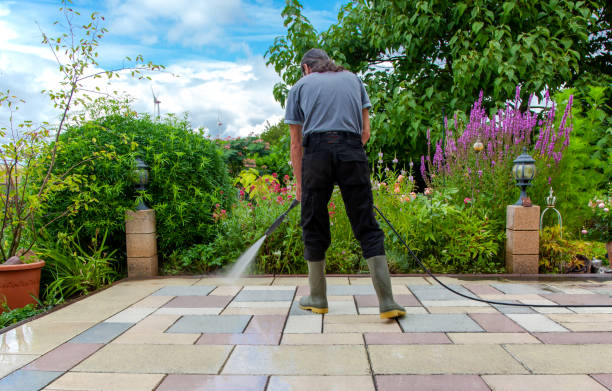 Best Driveway Pressure Washing  in Ellisville, MS